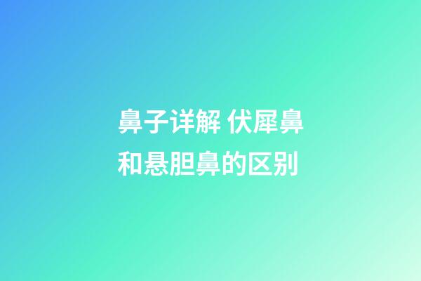 鼻子详解 伏犀鼻和悬胆鼻的区别